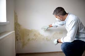 Best Post-Construction Mold Inspection  in Hightstown, NJ